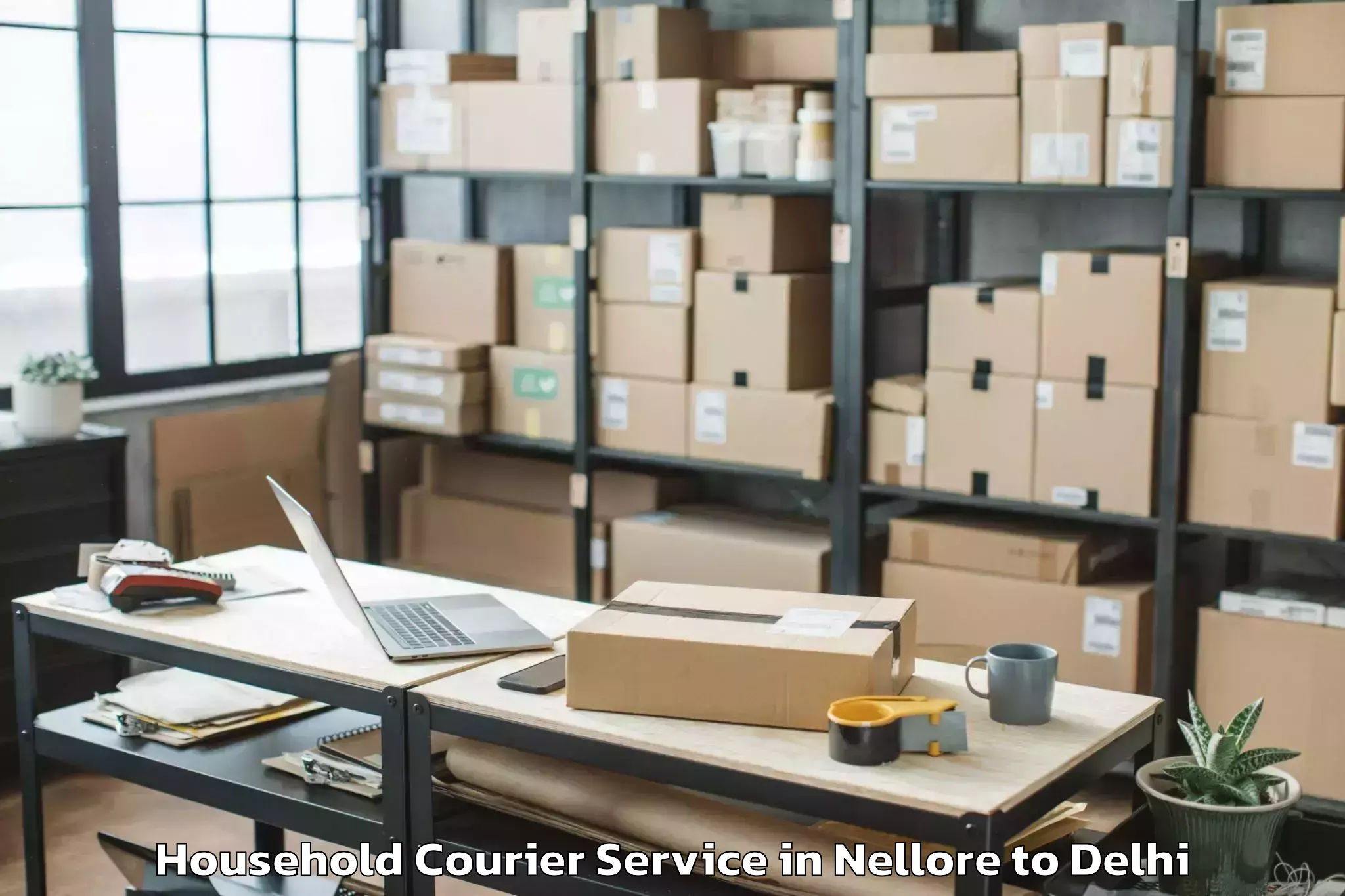 Book Nellore to City Centre Mall Dwarka Household Courier Online